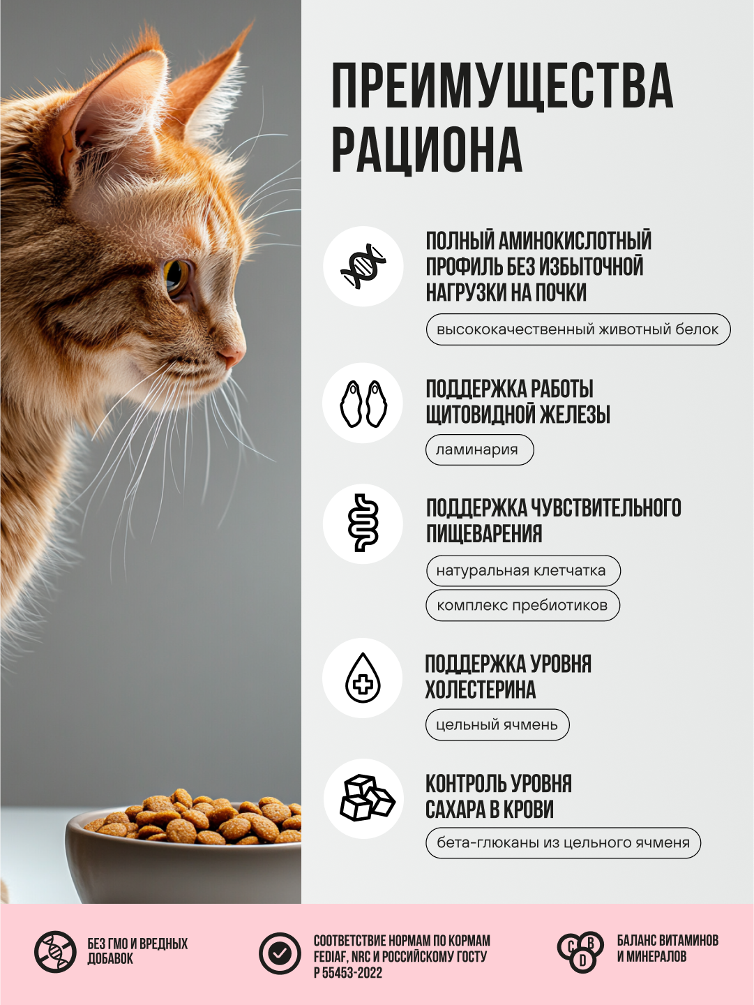 Корм сухой полнорационный BOWL WOW для взрослых кошек с индейкой, курицей и яблоком 400г - фото 3