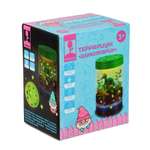 Набор для опытов inbloom Террариум Динозаврик