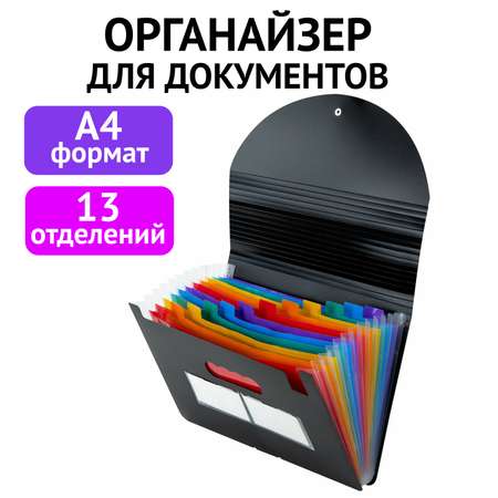Папка-органайзер Brauberg для рисунков чертежей бумаг и документов