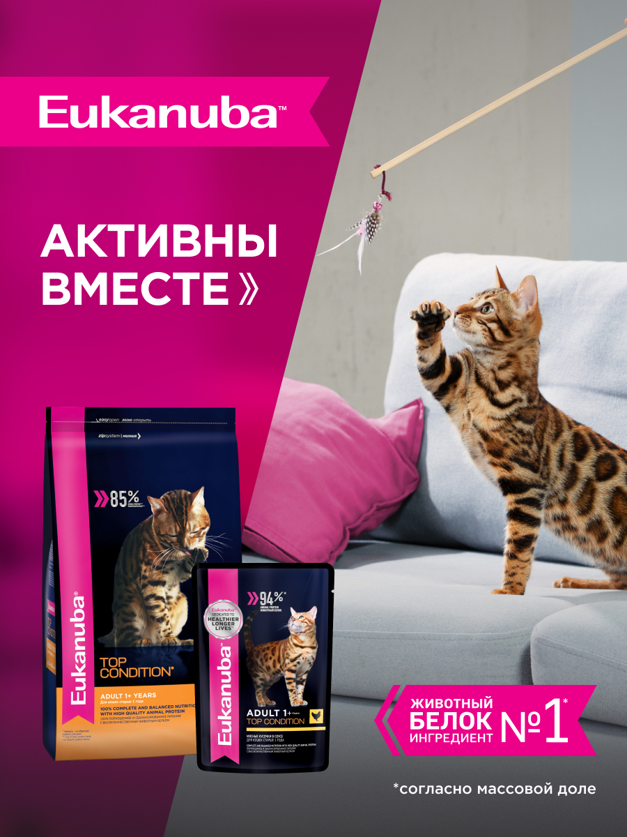 Корм влажный для кошек Eukanuba Cat 85г с курицей в соусе для взрослых пауч - фото 8