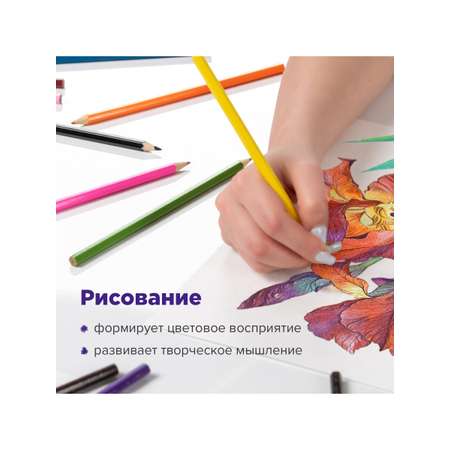 Карандаши акварельные Brauberg 12 шт.