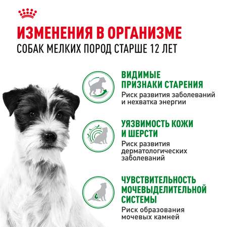 Корм для собак ROYAL CANIN Mini Ageing 12+ для стареющих собак мелких размеров 85г