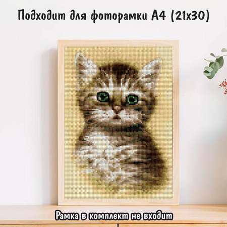 Алмазная мозаика Милато Котёнок