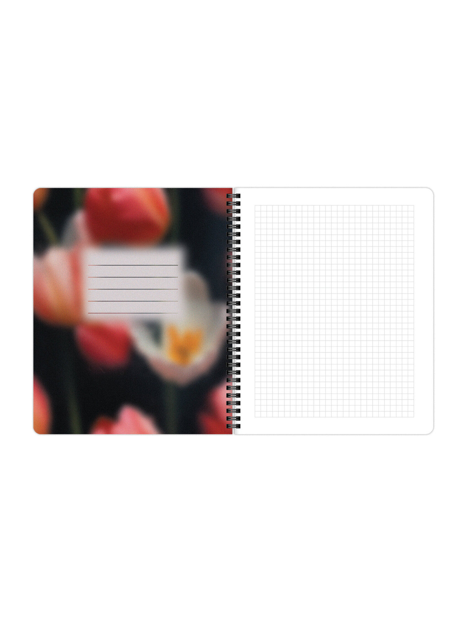 Тетрадь Brauberg клетка 48 лист. 4 шт. - фото 9