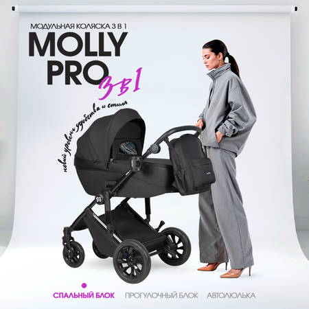Коляска 3в1 Farfello Molly Pro черный