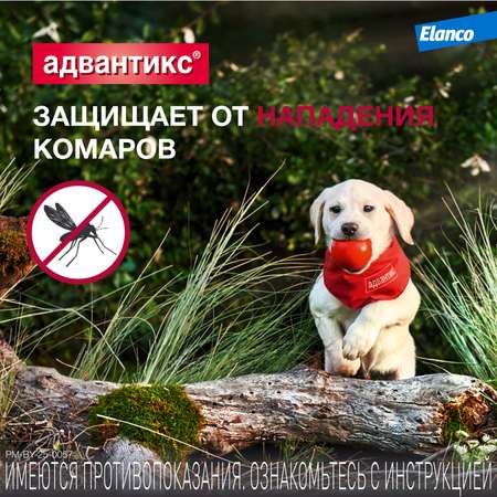 Капли для собак Elanco Адвантикс от 4 до 10кг против блох и клещей 1пипетка