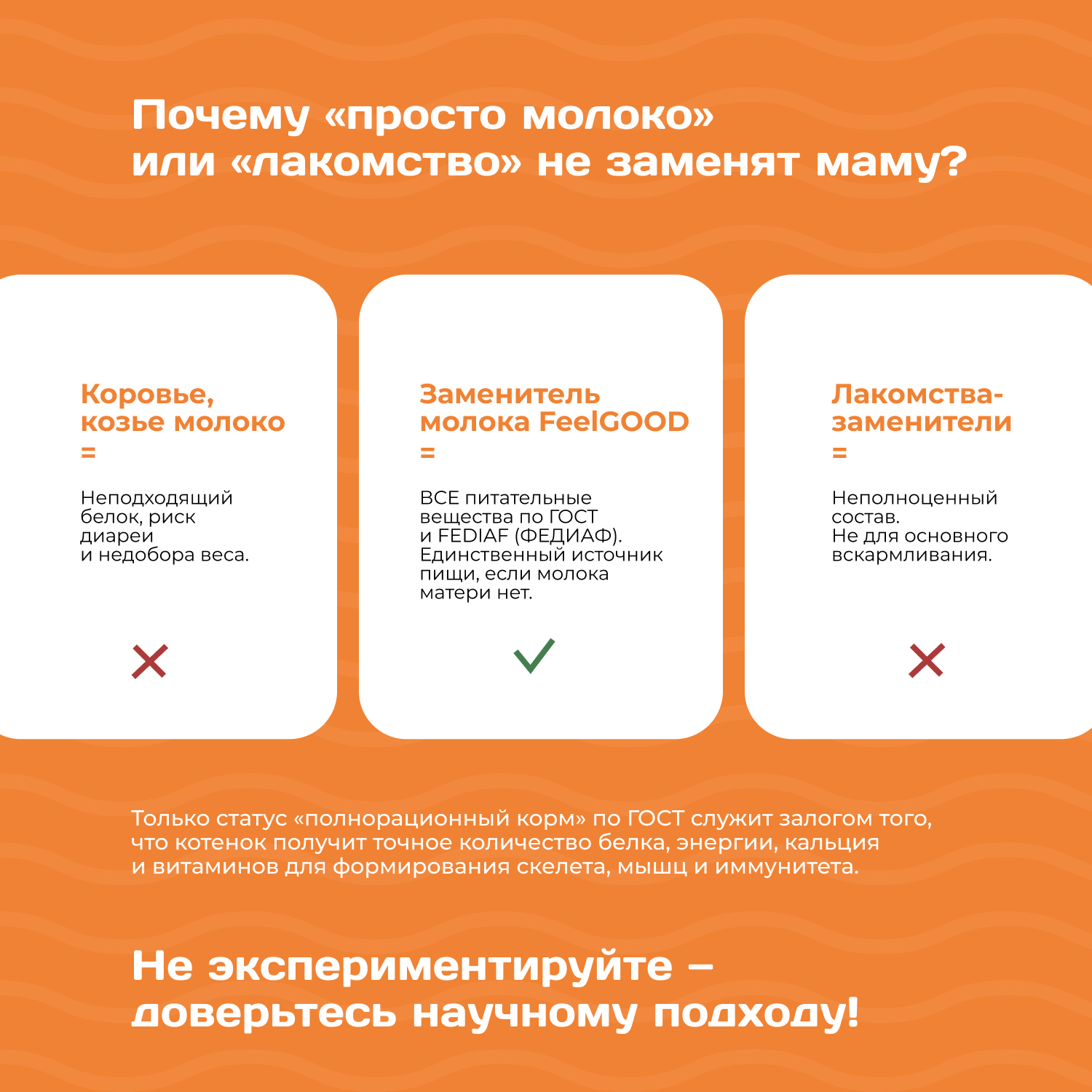 Заменитель молока для котят Feel Good 300г - фото 2