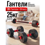Набор блинов с грифом БлинДаГриф 12,5кг 2шт