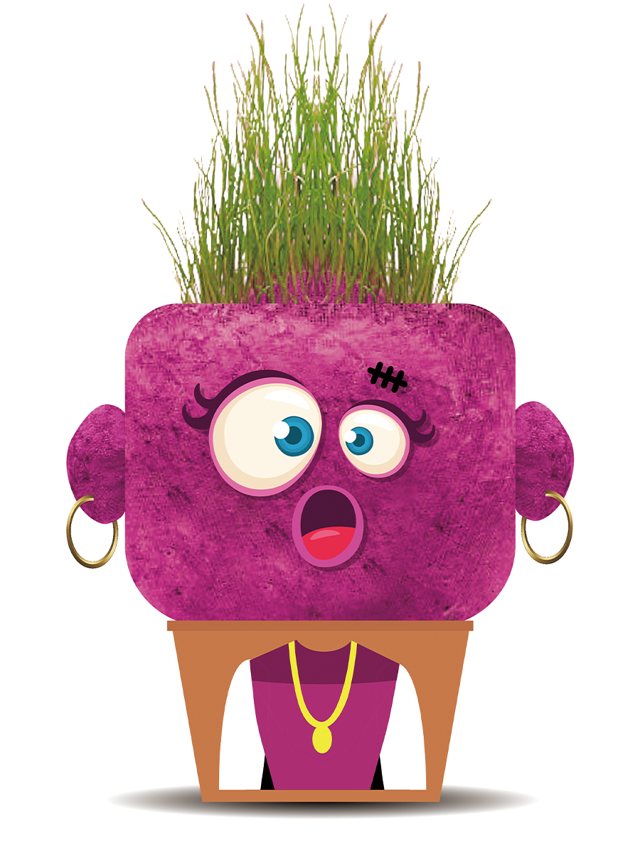 Набор для выращивания Hape - фото 4