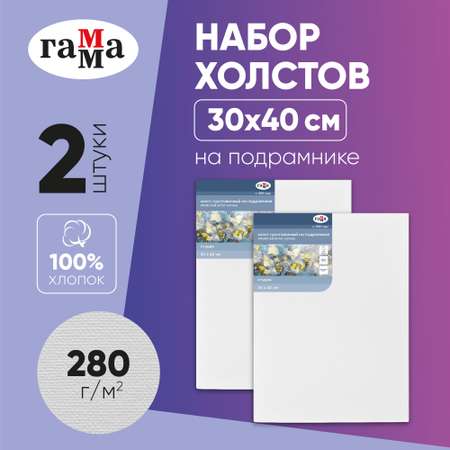 Набор холстов Гаммa на подрамнике 2 шт