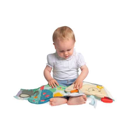 Игрушка Chicco книжка Первая книжка