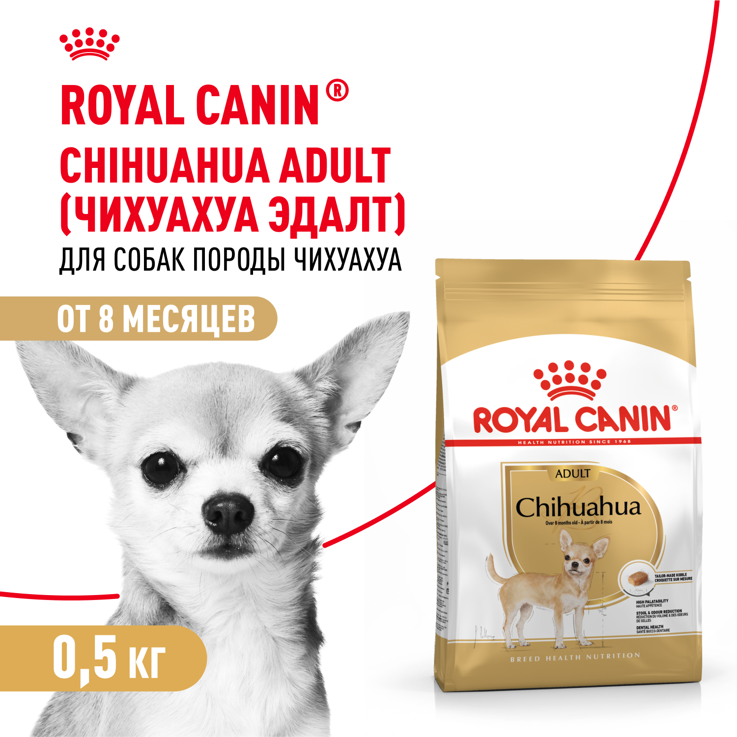 Корм для собак ROYAL CANIN породы чихуахуа 500г - фото 1