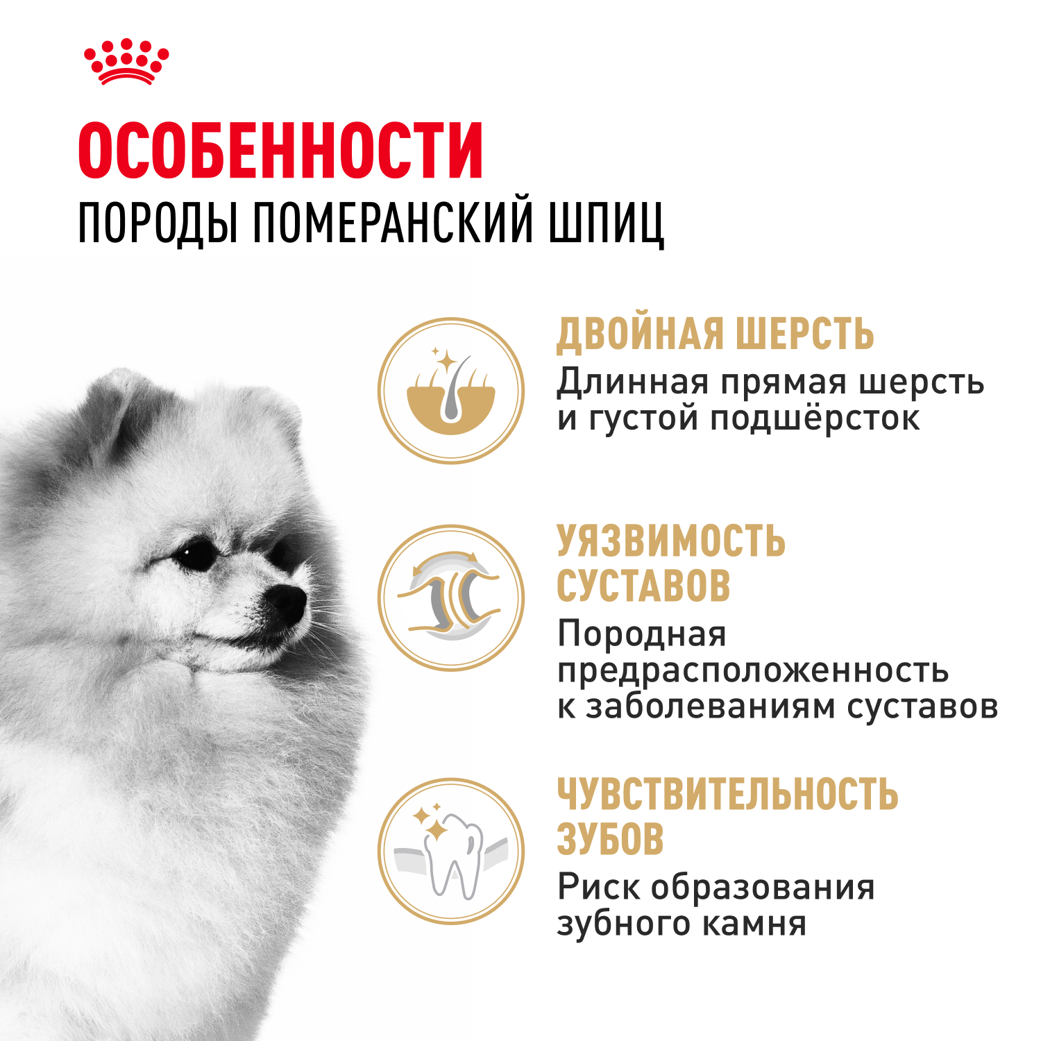 Корм для собак ROYAL CANIN породы померанский шпиц 0.5кг - фото 2