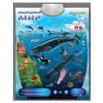 Игрушка Знаток