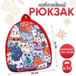 Рюкзак NAZAMOK