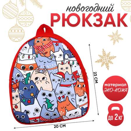 Рюкзак NAZAMOK