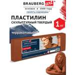 Пластилин Brauberg терракотовый 1 цв.