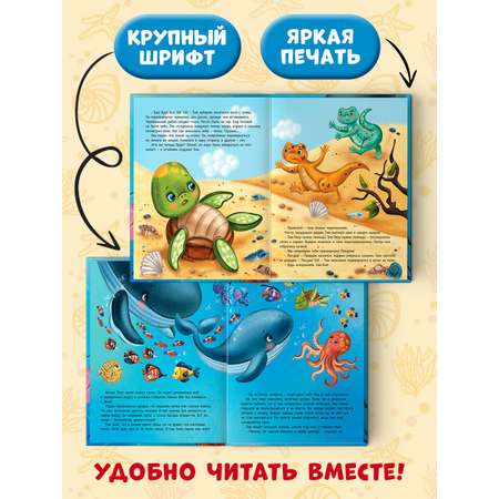 Книга Проф-Пресс Черепашонок Тим и его большая мечта