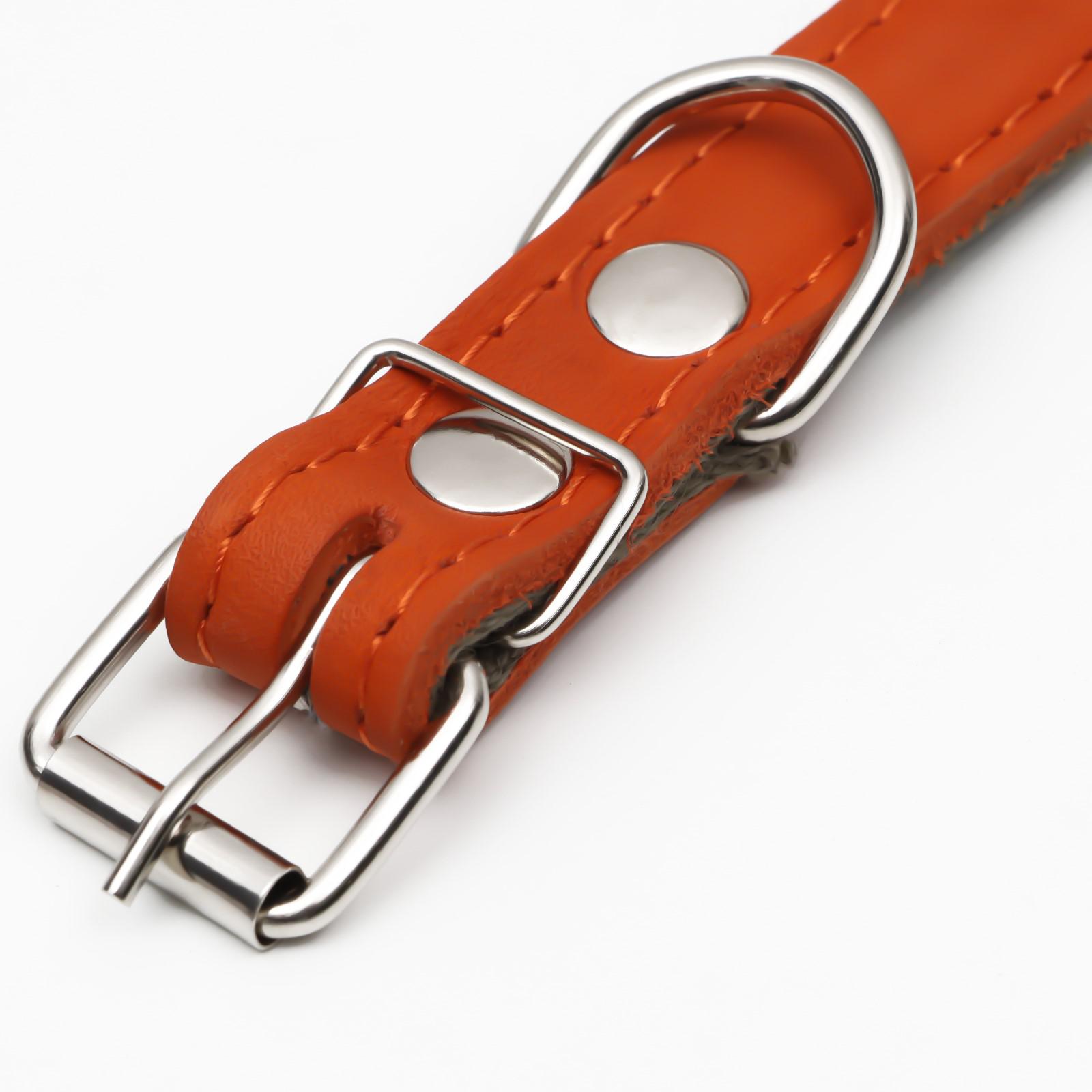 Ошейник Пижон безразмерный 54 х 2.5 см рыжий - фото 5