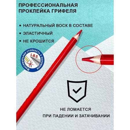 Карандаши цветные ACMELIAE 12 шт.