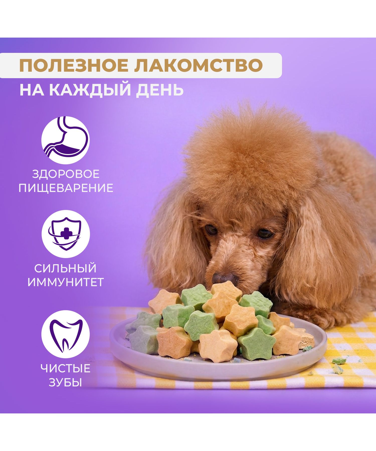 Лакомство для собак Ranova Звёздочка микс вкусов с курицей и морскими водорослями или с курицей и хурмой 6г - фото 4