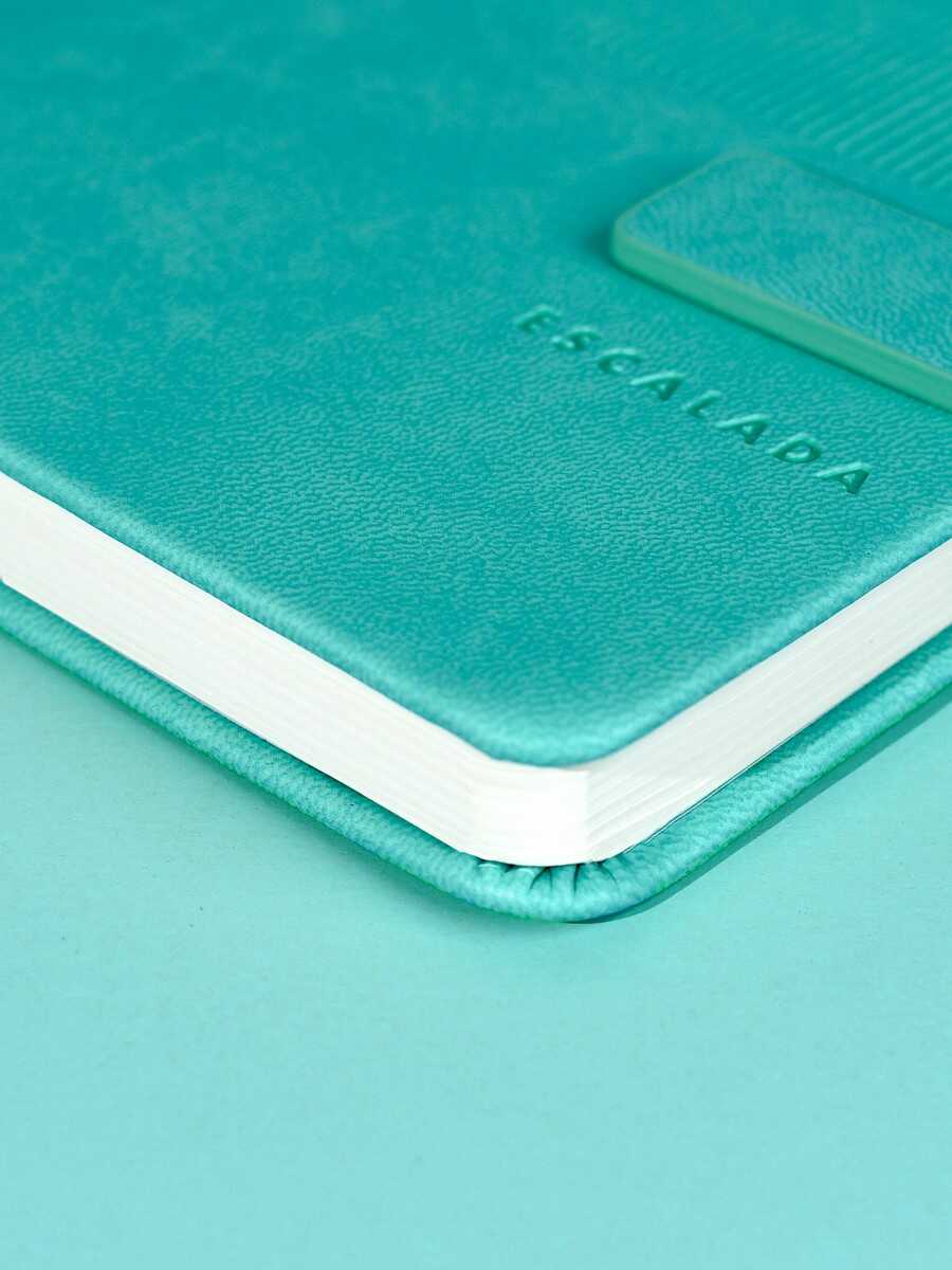 Ежедневник Феникс + ESCALADA 120 лист. - фото 10