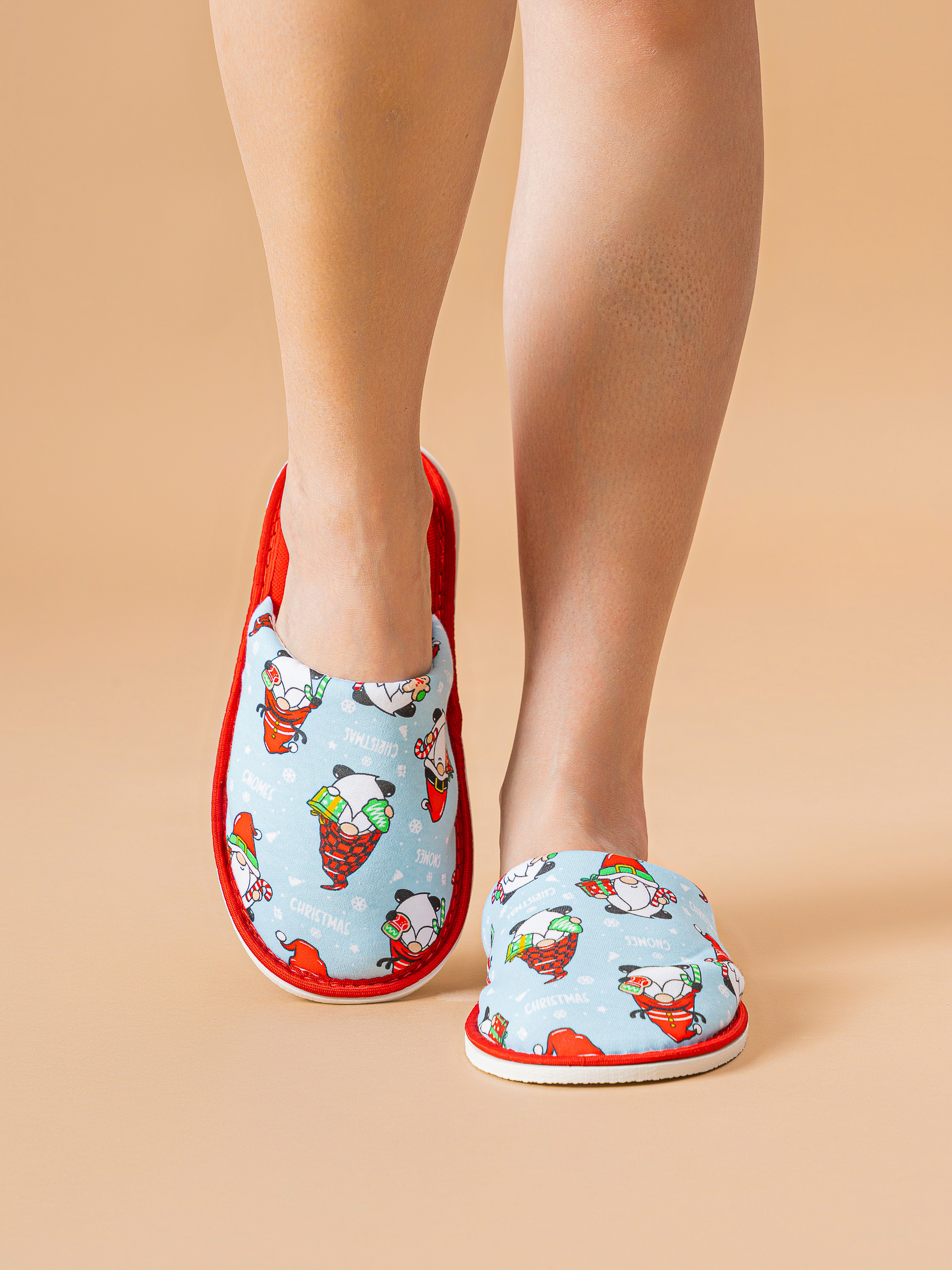 Тапочки домашние IVShoes С-6ЖМ-МР/гномы/голубой - фото 1