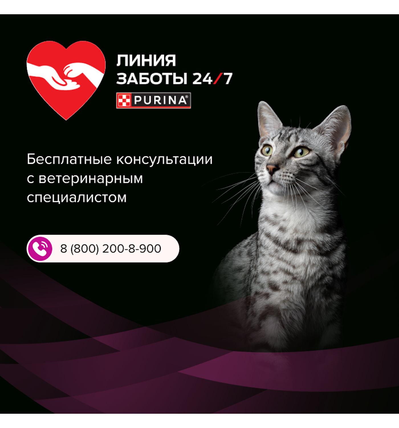 Корм для кошек влажный диетический PRO PLAN Ur St/Ox Urinary при болезнях нижних отделов мочевыводящих путей с курицей 85г - фото 17