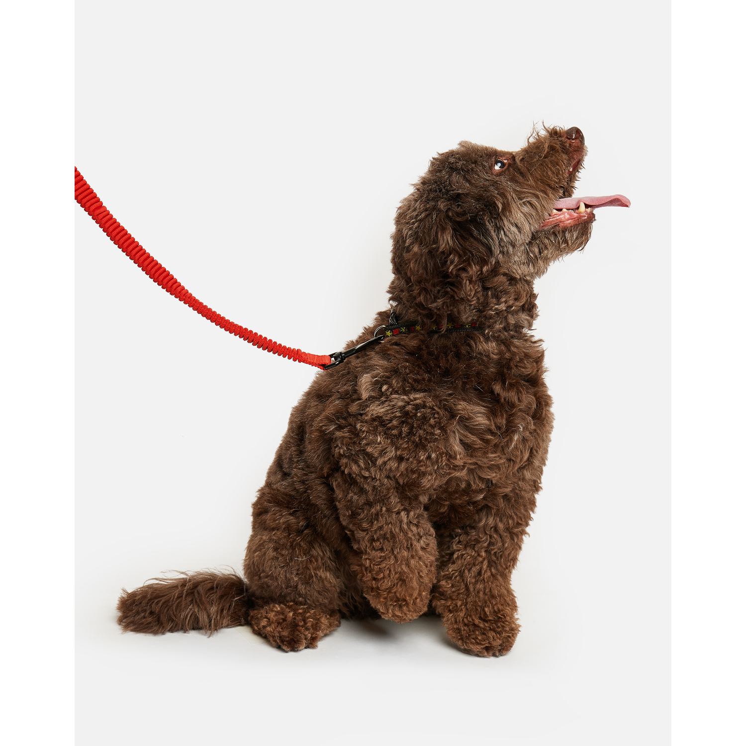 Поводок для собак Zoozavr антирывковый Красный - фото 1