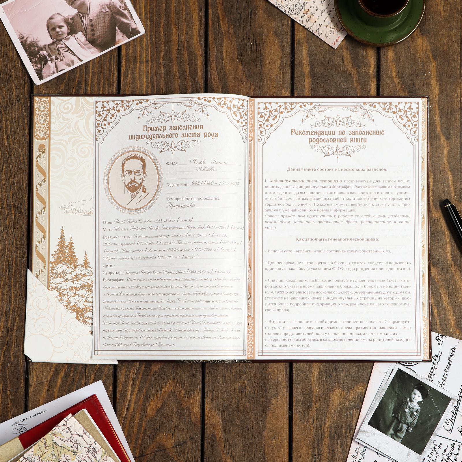 Родословная книга Sima-Land «Семейная летопись» 100 страниц 22 х 31 см - фото 4