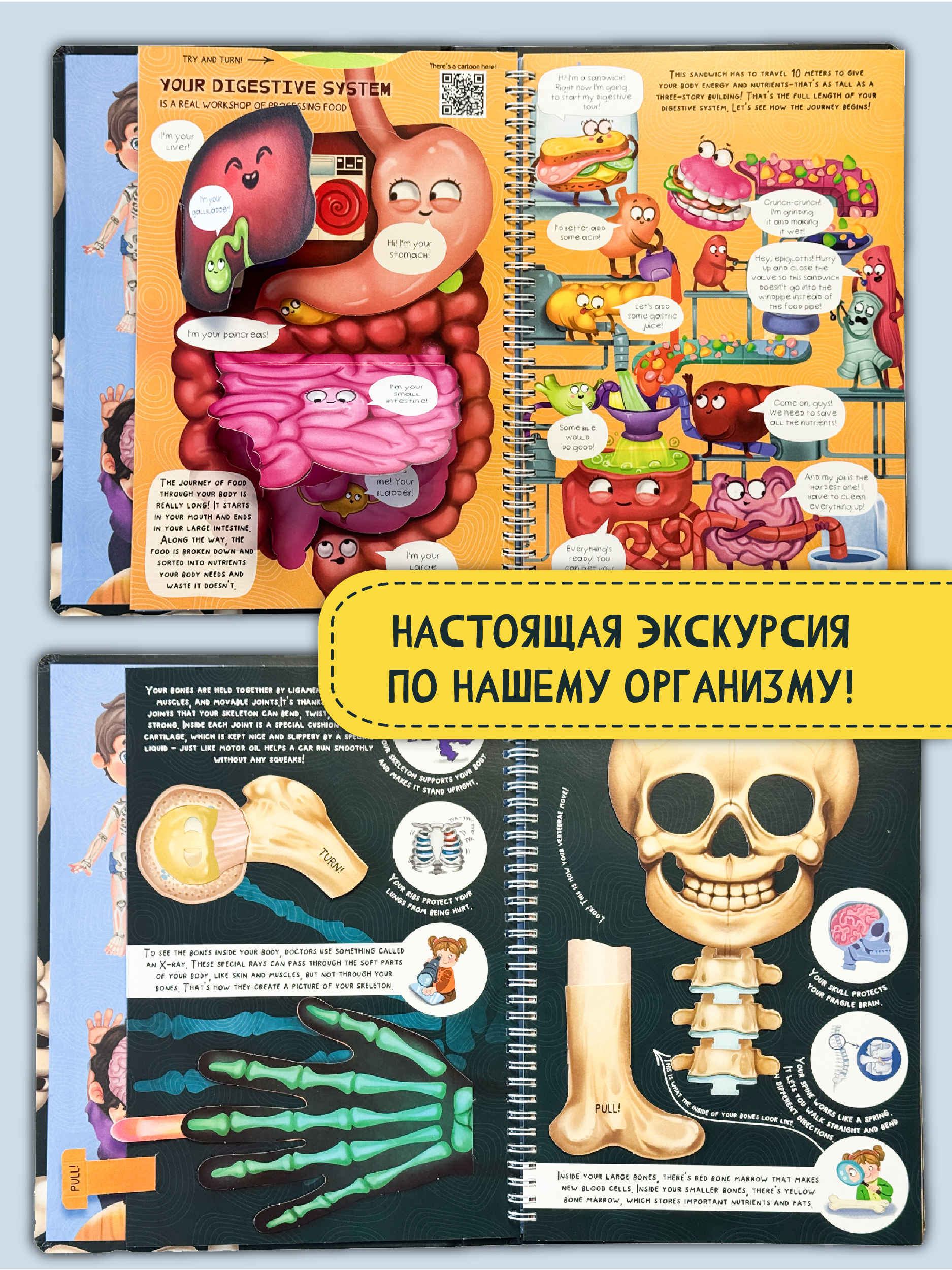 Интерактивная энциклопедия на английском БимБиМон Знакомься твое тело - фото 4