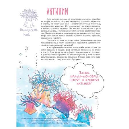 Книга ПИТЕР Мой любимый зоопарк