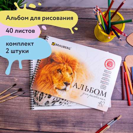 Альбом Brauberg А4 2 шт.