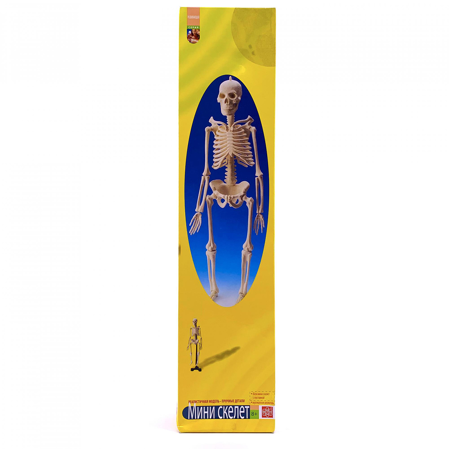 Наглядное пособие EDU-TOYS - фото 3
