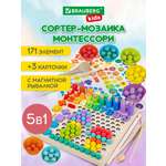 Игрушка Brauberg сортер Мозаика Монтессори