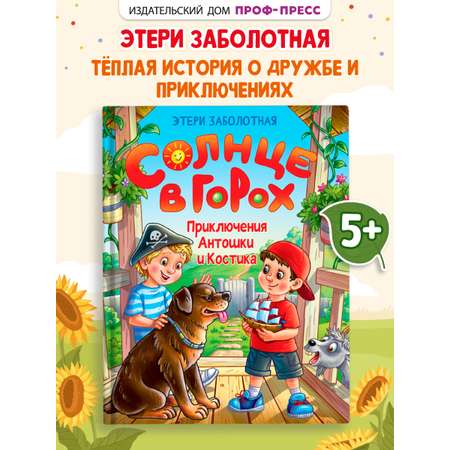 Книга Проф-Пресс Солнце в горох. Приключения Антошки и Костика. 96 стр
