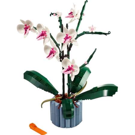 Конструктор LEGO Botanicals Orchid блочный