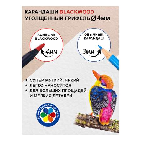 Карандаши цветные ACMELIAE 24 шт.
