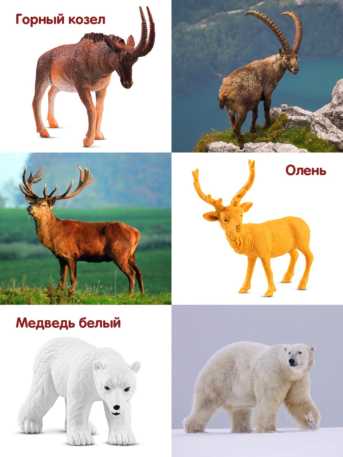 Игровой набор DARWIN Дикие животные 6шт - фото 3
