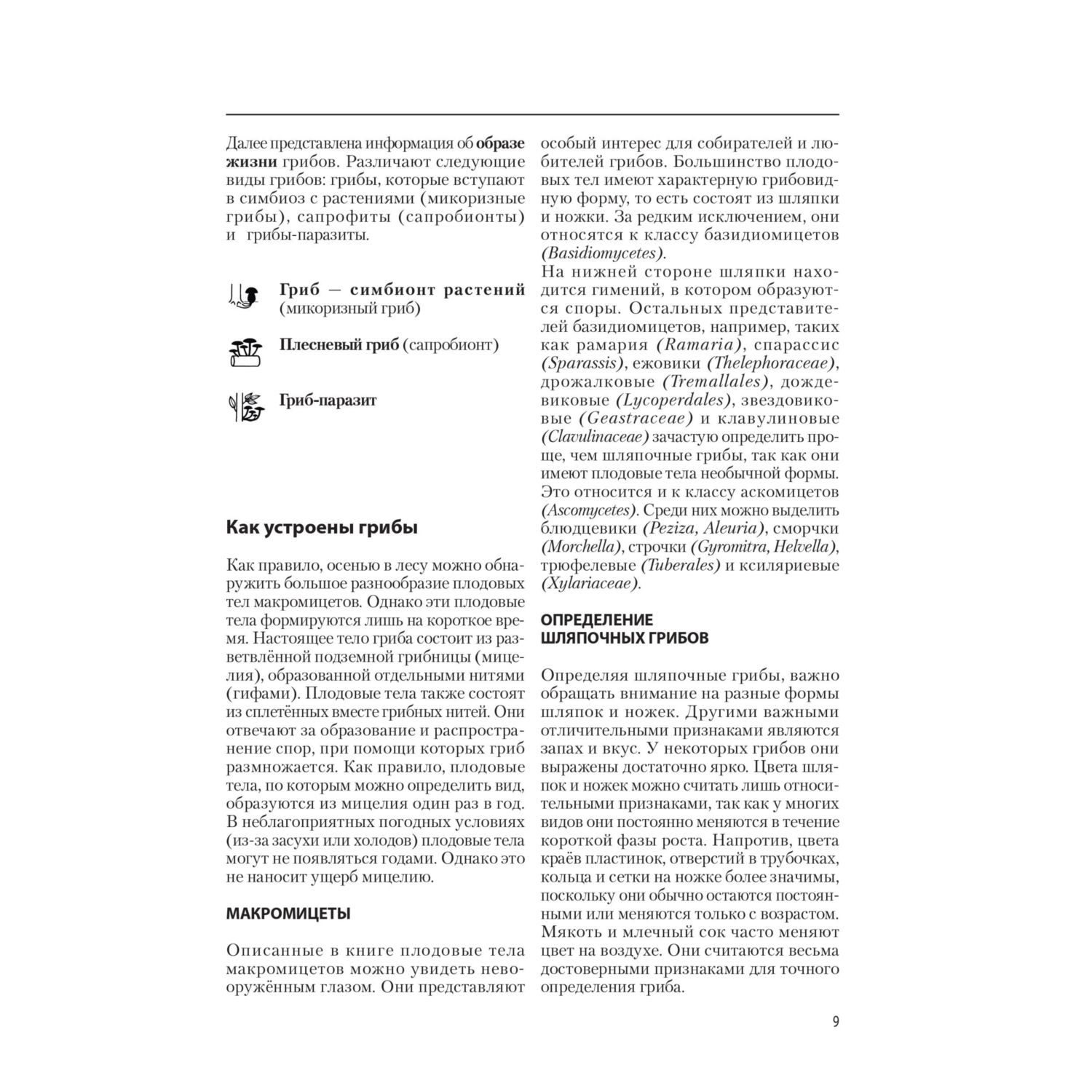 Книга Эксмо Грибы - фото 8