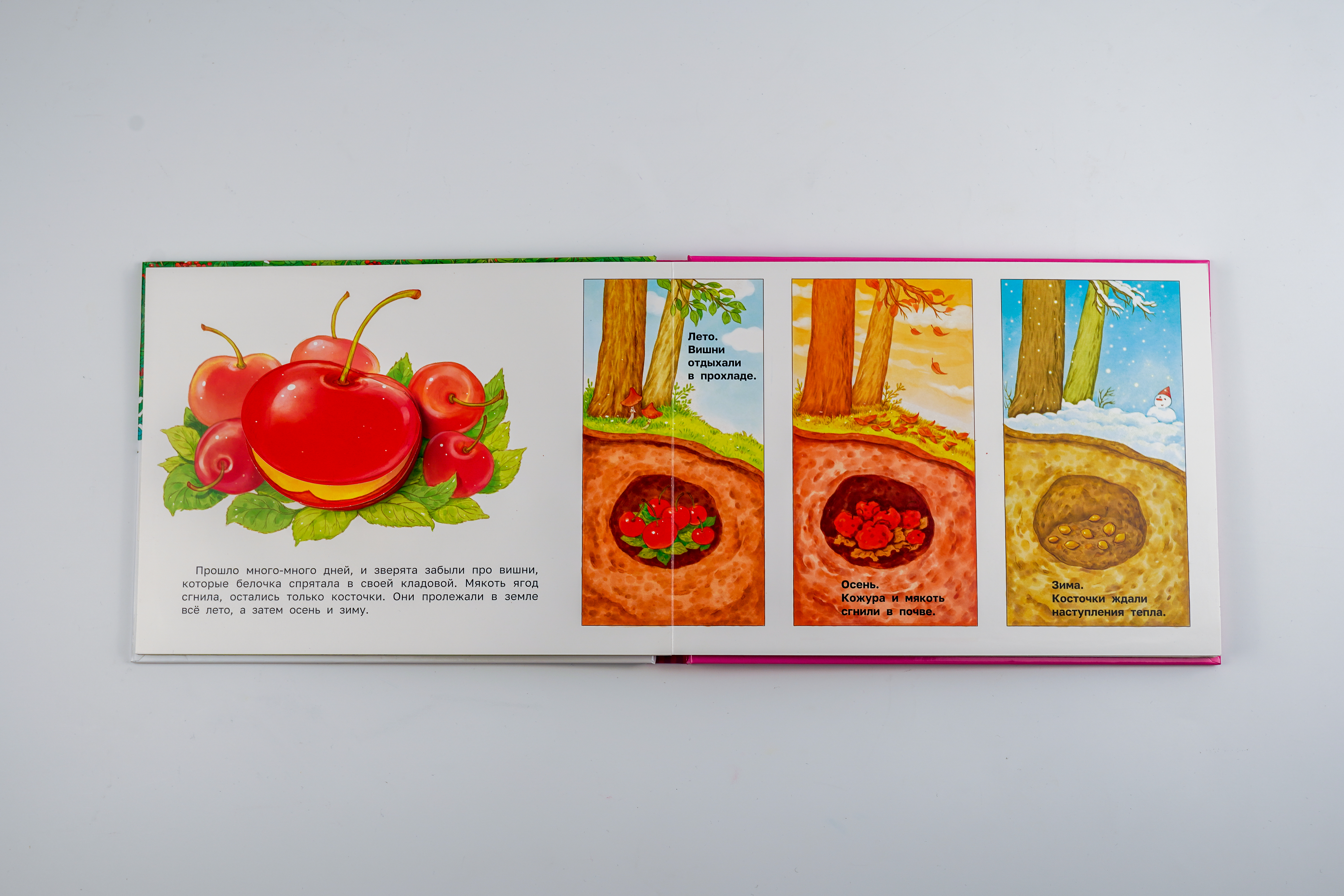 Книга АСТ Как зверята собирали урожай - фото 6