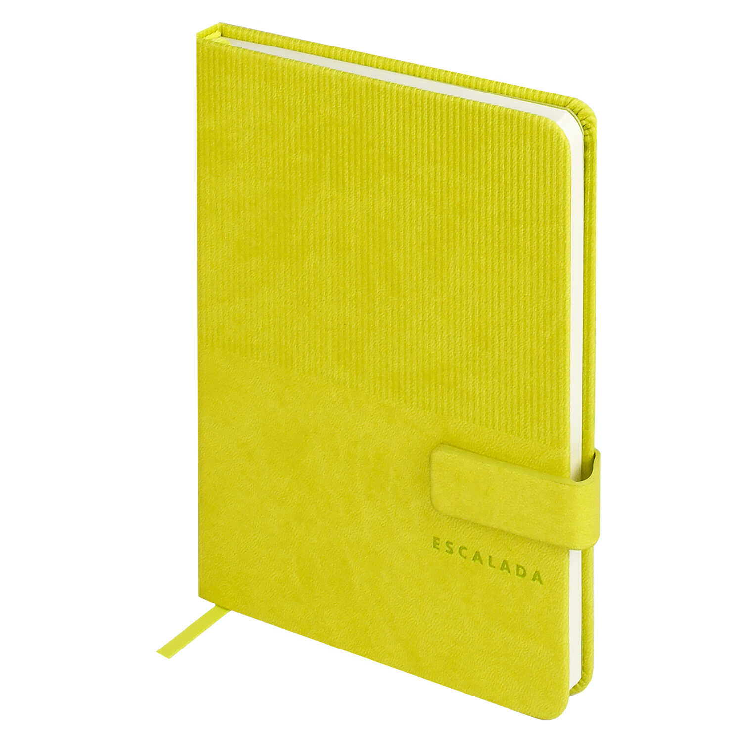 Ежедневник Феникс + ESCALADA 120 лист. - фото 14