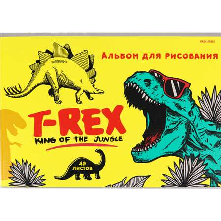 Альбом Prof-Press А4 40 лист.