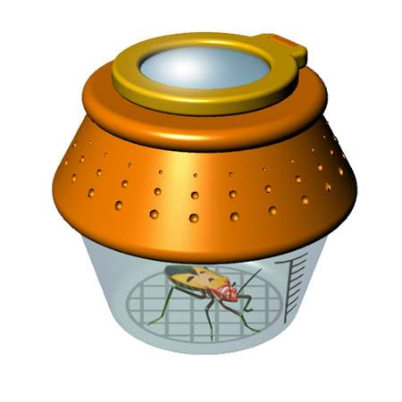 Набор для опытов Spring and Summer