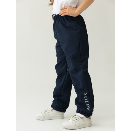 Брюки утепленные Softshell VGtrikotazh