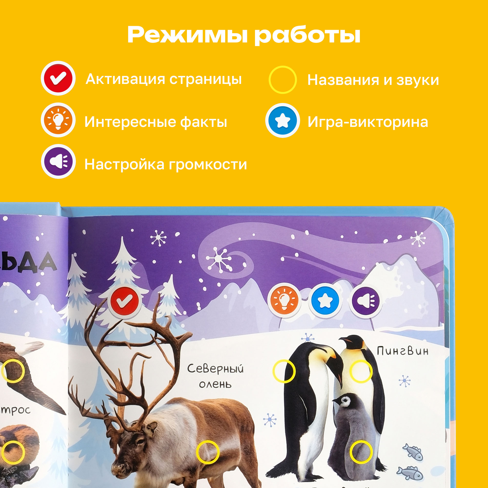 Комплект говорящих книжек BertToys Нажималки: Животные + Маша и медведь - фото 4