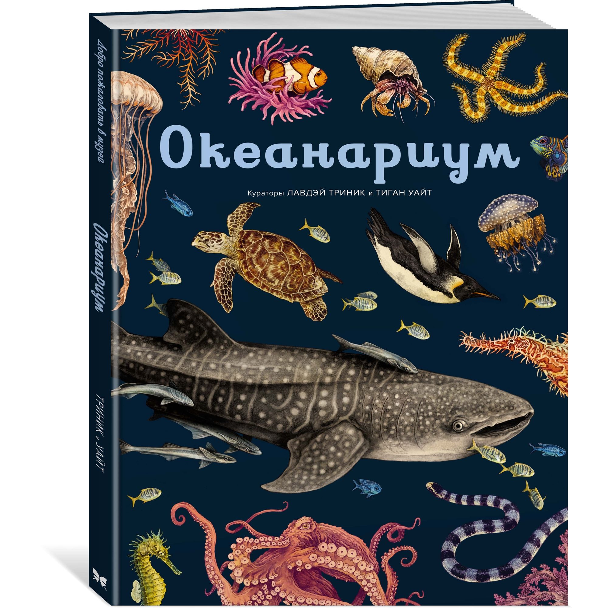 Книга МАХАОН Океанариум. Энциклопедии - фото 2