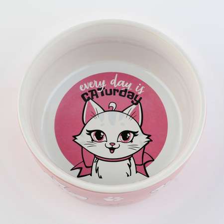Миска керамическая Пушистое счастье CATurday 200 мл для кошек