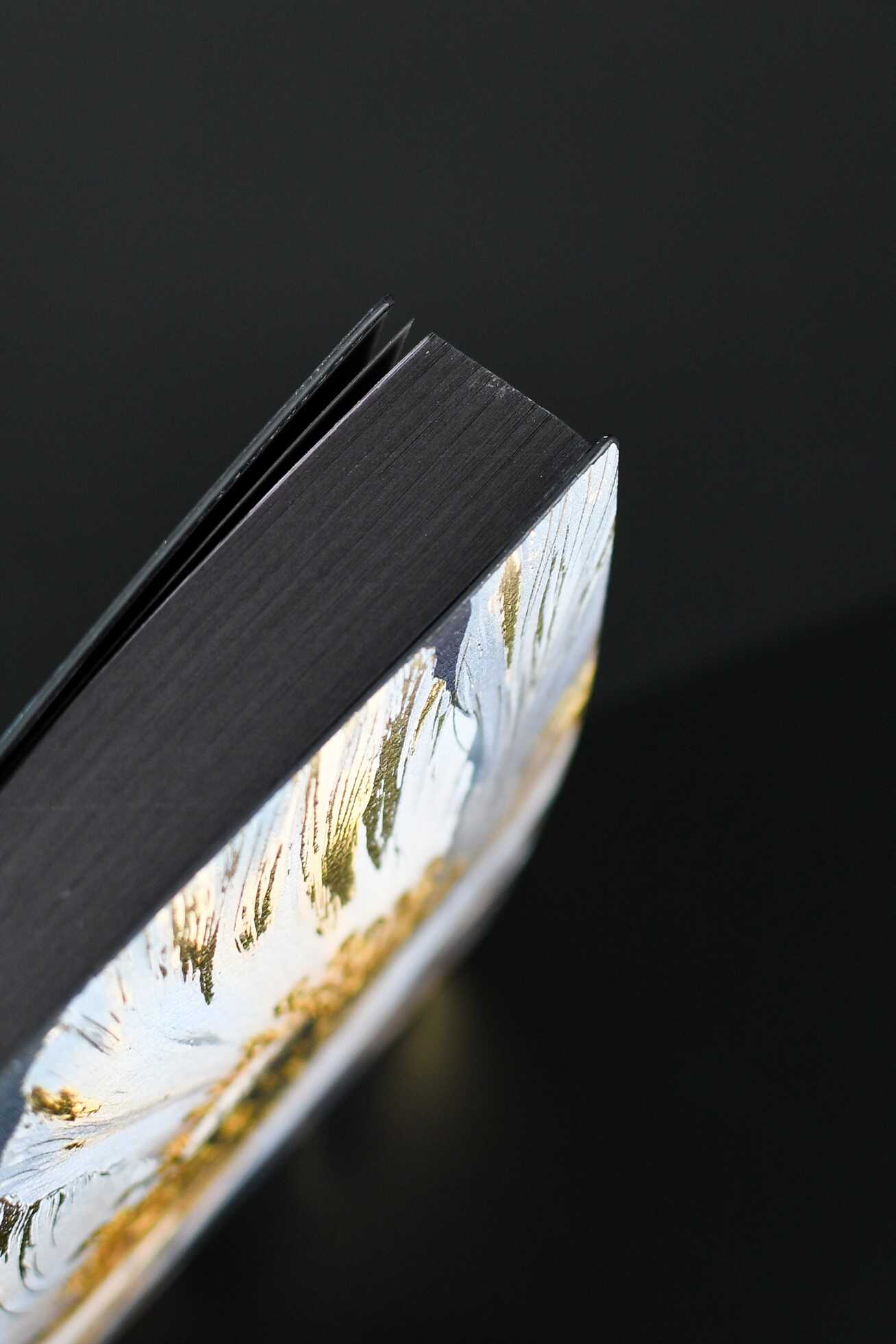 Ежедневник Феникс + ESCALADA 176 лист. - фото 14