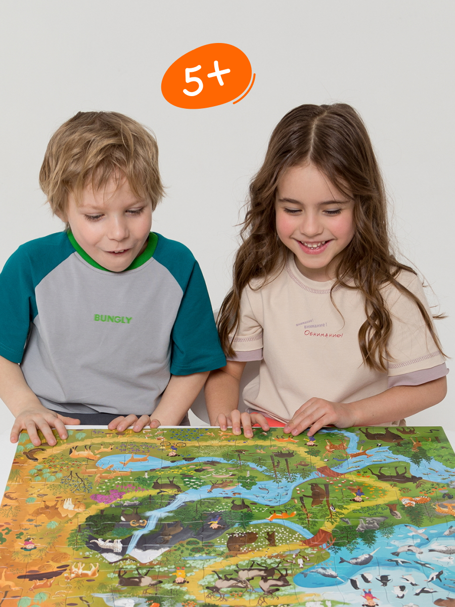 Пазл Харди Гарди Природные зоны России - фото 9